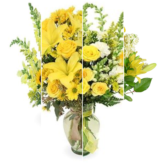 Yellow Florist’s Choice