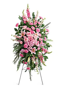 Glorious Farewell Spray - Box Roses | Florist