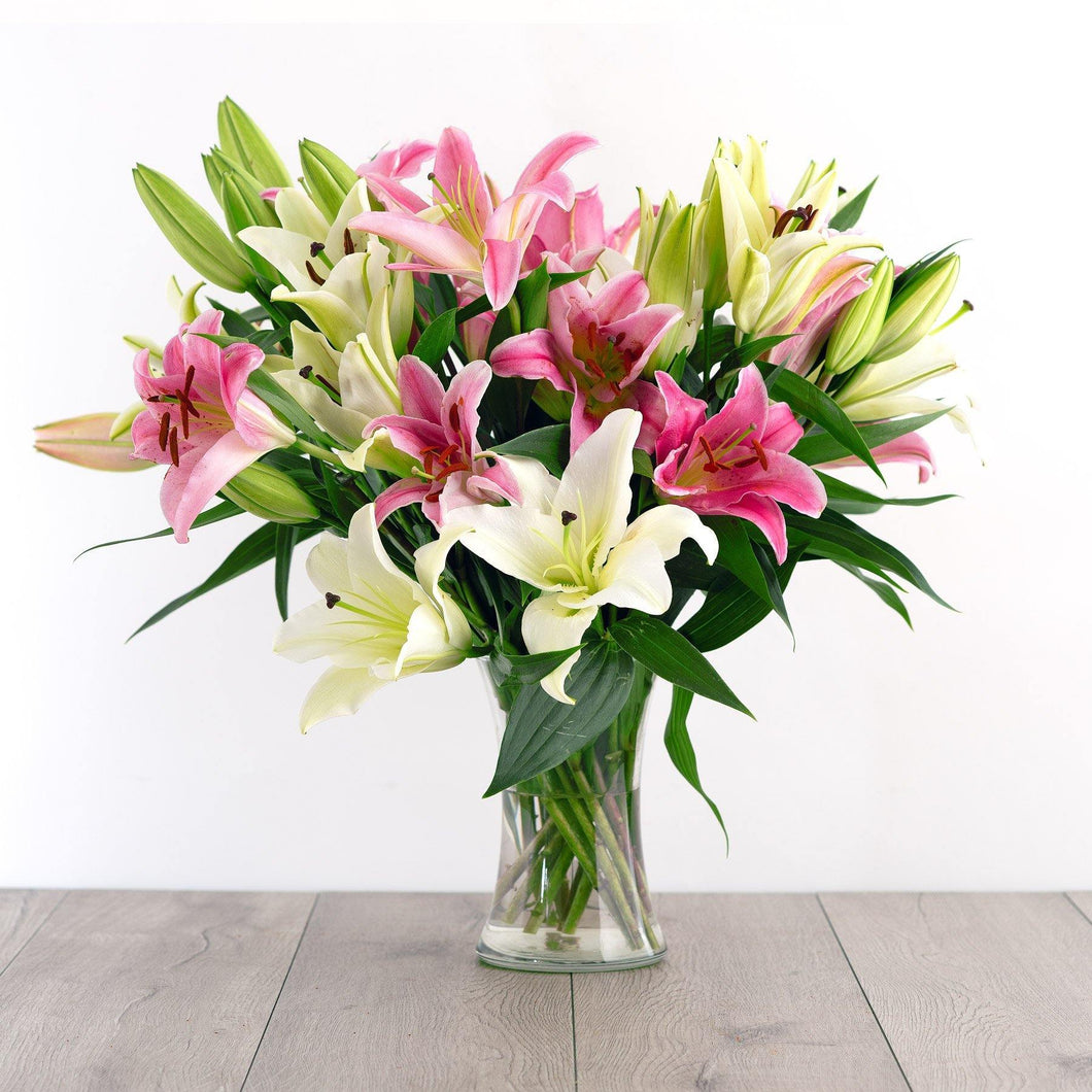 Good Morning Lilies - Box Roses | Florist